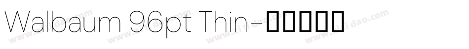 Walbaum 96pt Thin字体转换